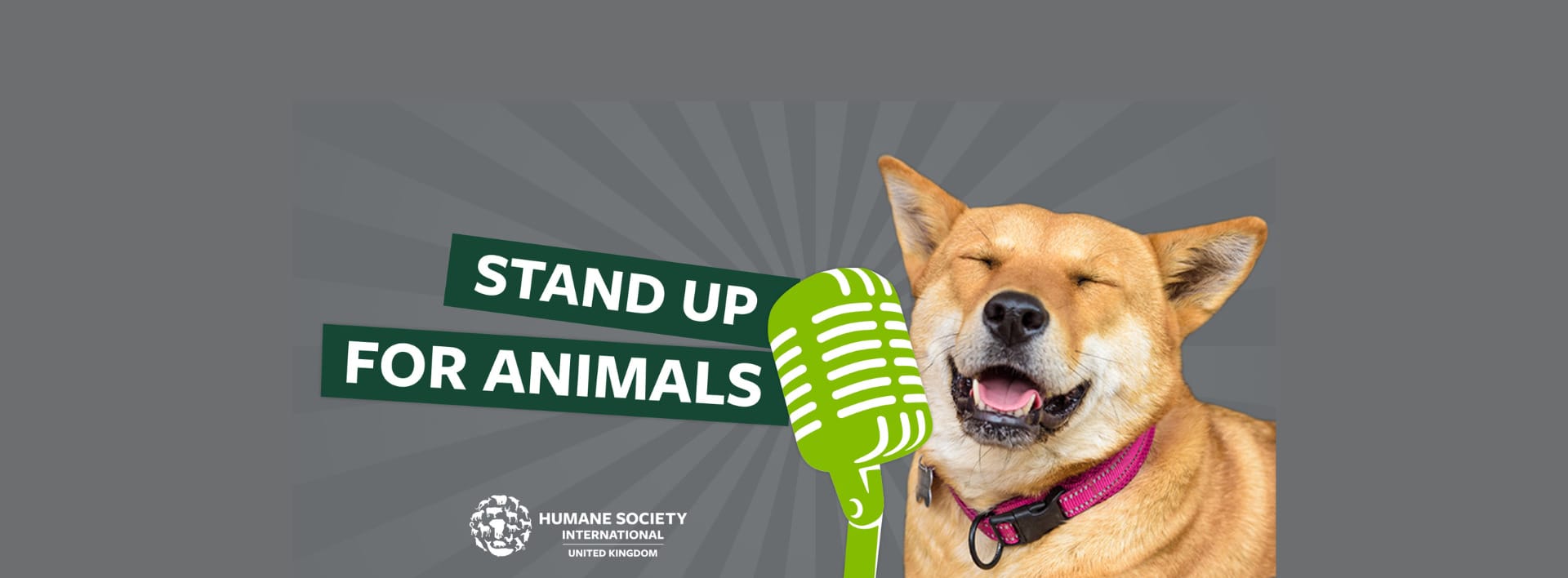 Stand Up for Animals